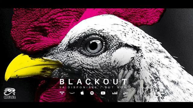 Dani Bander - Blackout (Official Art Track Video) смотреть онлайн