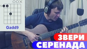 ЗВЕРИ - СЕРЕНАДА аккорды 🎸 кавер табы как играть на гитаре