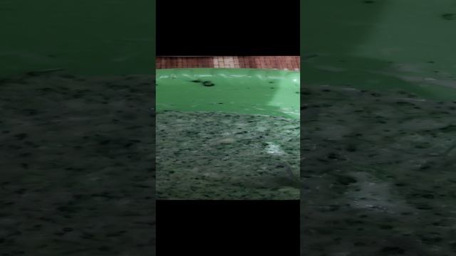 Оладьи из брокколи на завтрак.