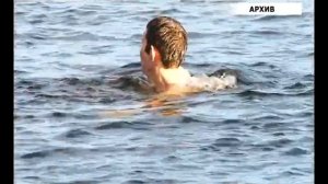 Моржи