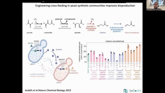 🦠Engineered Microbial Communities for Sustainable Bioproduction смотреть онлайн