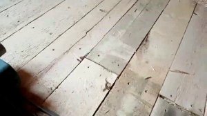 выравнивание пола