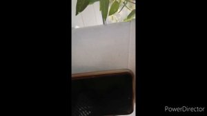 ВЛОГ : Вывели аферистов на чистую воду // Не верьте рекламе!!!!!!!!!!
