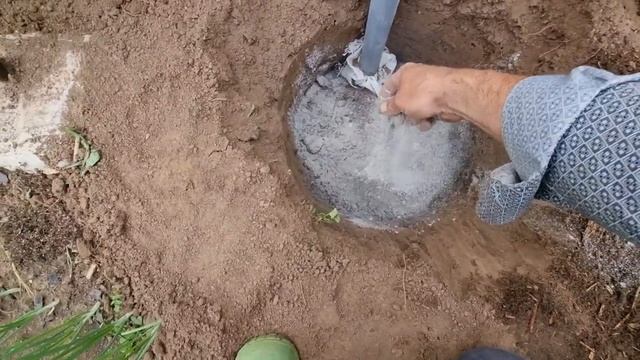 Как посадить виноград смотреть онлайн