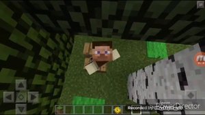 Апельсинчик мой маленький гнилой