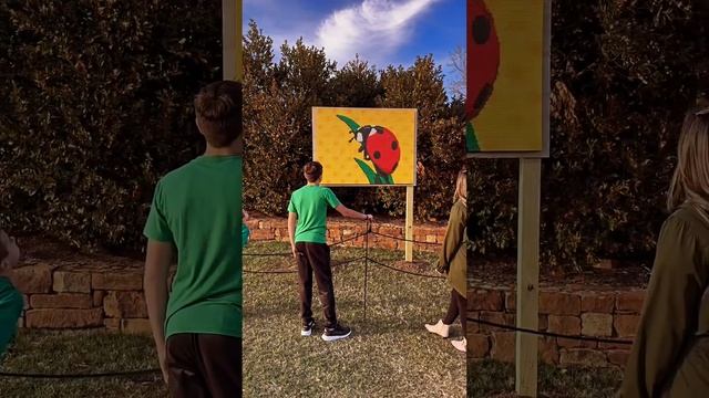 Giant Lego Animals and art at the Tulsa Botanic Garden! @TulsaBotanicGarden смотреть онлайн