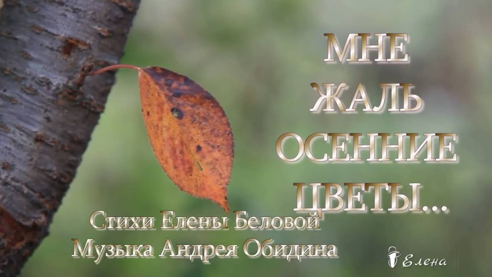 Последний осенний цветок книга. Последний осенний цветок книга