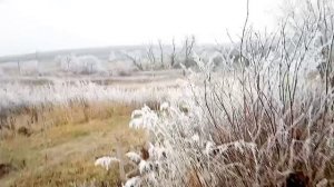 Странная погода). Конец ноября.