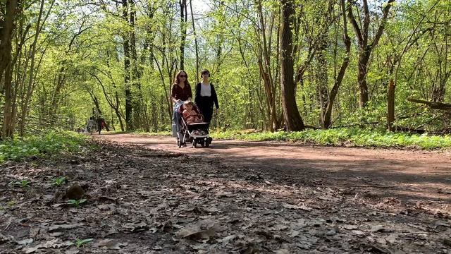 Ботанический сад в Москве