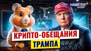 Всё, что Трамп говорил и обещал о крипте ⚡️ Hamster Academy