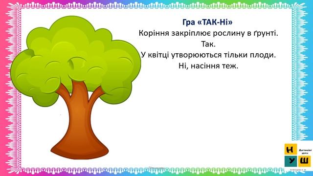 ЯДС  2 клас Урок 13 Якими бувають рослини?  автор підручника Бібік