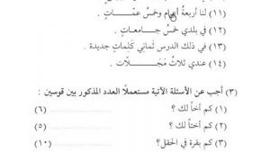 Мединский курс 1. Урок 20: Числа. Арабский язык для начинающих.