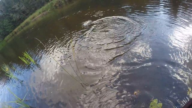 GOPR0105 смотреть онлайн