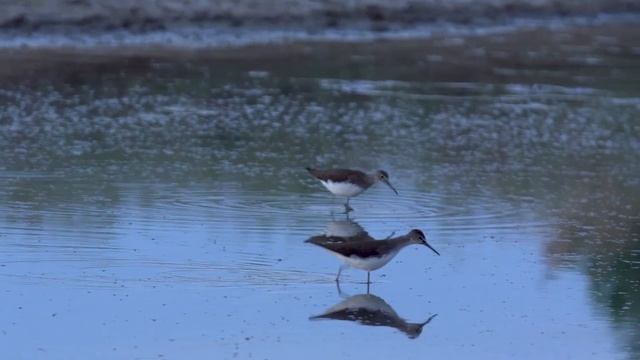 ВНЕ ЗОНЫ «ЧЁРНЫЕ ЗЕМЛИ». Сезон 2022. Выпуск 5 смотреть онлайн
