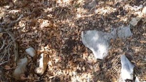 Гора посёлка Кириш 09.2020