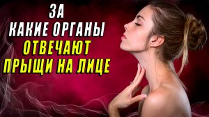 За какие органы отвечают прыщи на лице