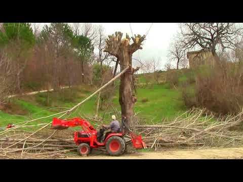Цены выросли…80-летние предлагают…