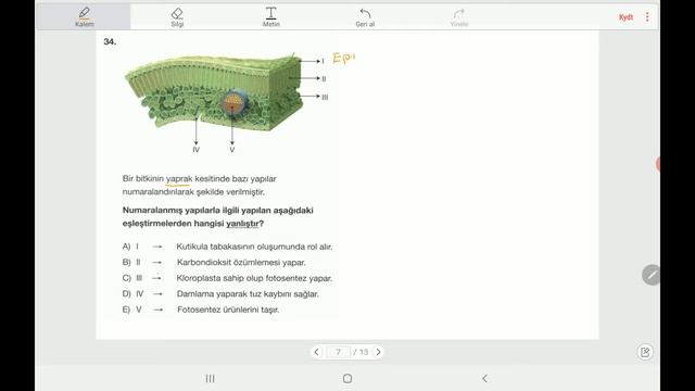BİYOLOJİ – 21 ARALIK AYT (LİMİT - 3) смотреть онлайн