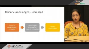 3.6(a) Biochemical basis for jaundice