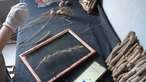 Прозрачная картина за 10 минут! Сухоцветы и стекло