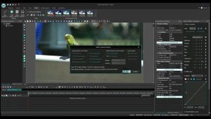 How to quickly add border around video in VSDC