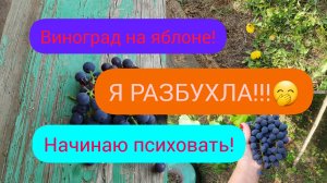 15.09.2023 #1 ПО ДРУГОМУ НИКАК!🙈ОТ🪰НИКУДА НЕ ДЕТЬСЯ!😳ЗОЛОТОЙ ПЕСОК!😳✨️Витёк приехал.