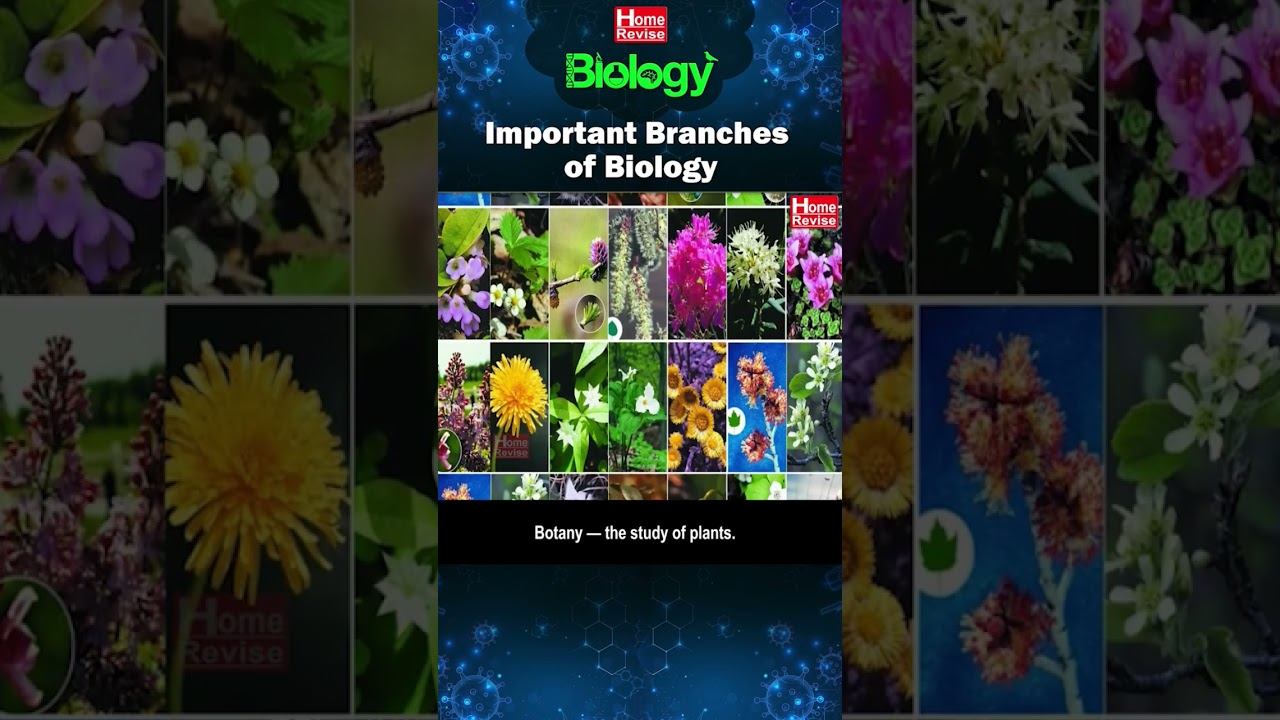 Important Branches of Biology