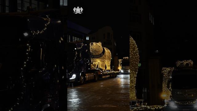 Праздник к нам приходит: мишки привезли новогоднее настроение в Тюмень