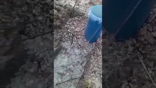 Самоизлив скважины 5 кубов