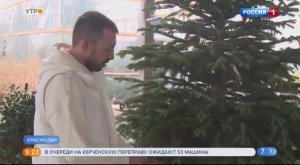 Профессиональные советы по выбору главного Новогоднего украшения! @Russia1