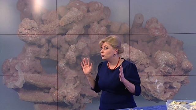 Модуль 7. Екологія і еволюція. Заняття 11: Історія життя на Землі