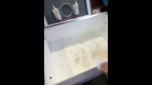 Дезинфекция инкубатора.