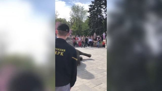 – Любовь Волошинова «Слон Булька и его вожатый». Читает Ларионова С.А.