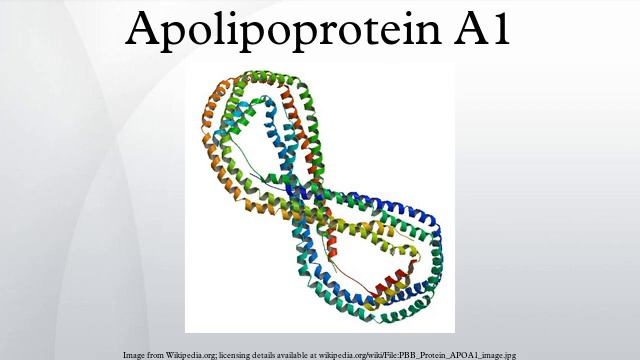 Apolipoprotein A1 смотреть онлайн