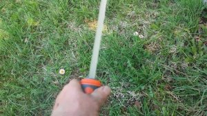 АБИССИНСКАЯ СКВАЖИНА В ВОЛОГДЕ. Удивляют  вологодские грунты, то пусто, то густо.