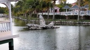 Memories Caribe Beach Resort Cuba Cayo Coco