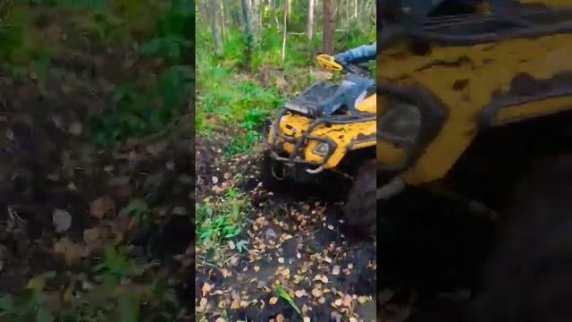 Ходом по торфяному болоту на BRP #atv #квадроциклы смотреть онлайн