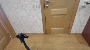 Nokta Makro Simplex plus vs Legend. Сравнение по весу Симплекса+ и Легенды.