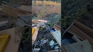 янаульский район  НовоАртаульский сельский совет.очередная свалка. 26.08.2023