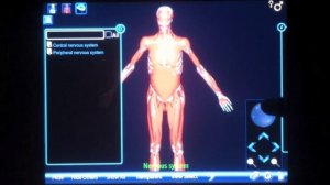 Human Anatomy 3D