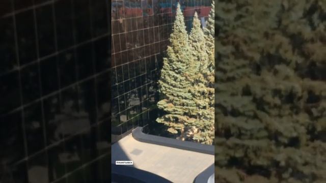 Татарстан сине яратам.