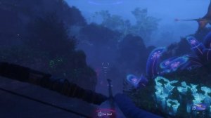Find Nor Avatar Frontiers of Pandora