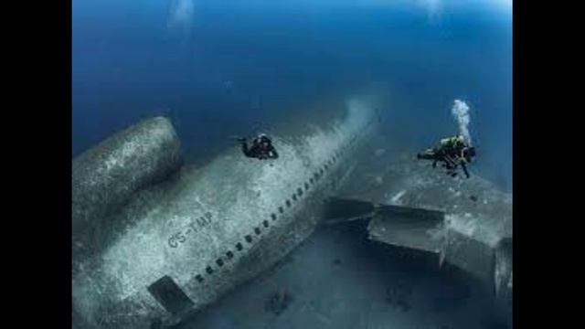 "Саргасовое море: Подводные тайны и истории времен"