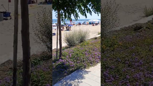 San Salvo Marina смотреть онлайн