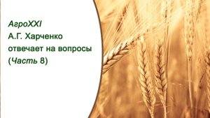 Александр Харченко   ответы на вопросы  Часть 8