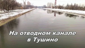 На отводном канале и Химкинском вдхр. 27.11.2024.