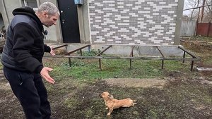 То под пол лезем, а в прочем ...
