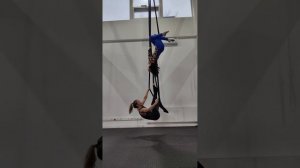 Aerial Straps Duo 20241122