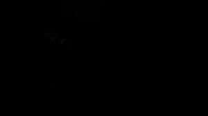 VID_20241127_172855.mp4