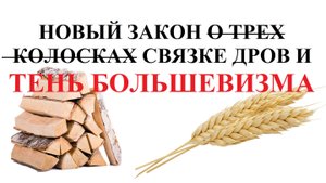 За хранение дров без документов до 7 лет тюрьмы